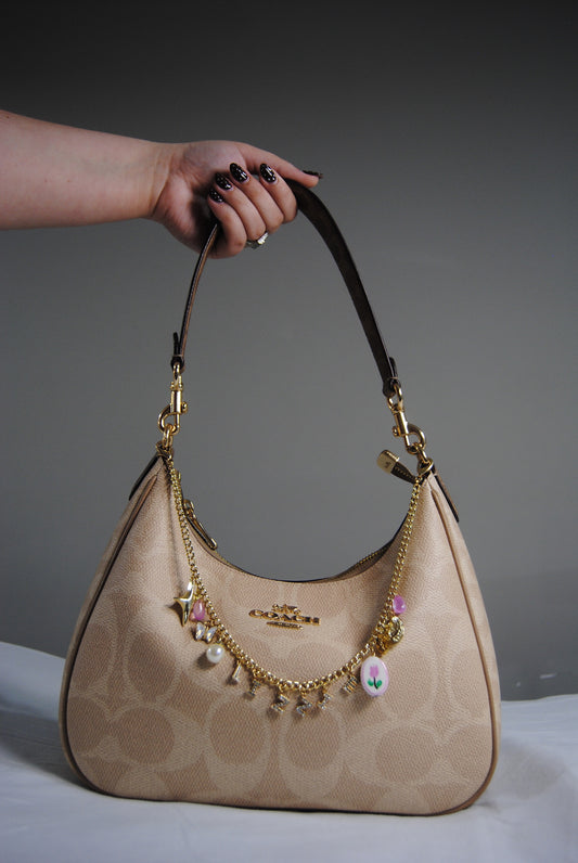 Bag Chains